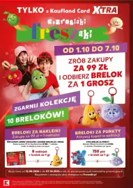 Kaufland gazetka Strona 15