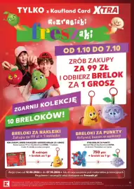 Kaufland gazetka tydzień 40 Strona 15