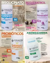 Catálogo Dolce Catálogos Página 104