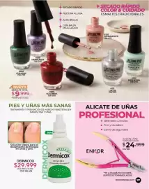 Catálogo Dolce Catálogos Página 101