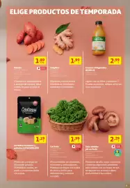 Folleto Alcampo Página 7: Jengibre €1,99, Castañas LA MADRILEÑA €1,19