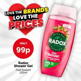 Poundstretcher leaflet Page 3
