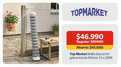 Catálogo Lider Página 21