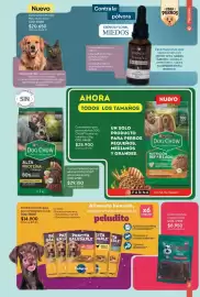 Catálogo Nova Venta Página 163