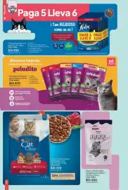 Catálogo Nova Venta Página 164