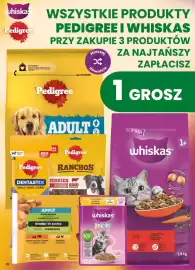 Dino gazetka tydzień 40 Strona 70