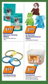 Action Flugblatt woche 40 Seite 36: Haustierkorb €7,99, Purrfections Liquid-Katzensticks Huhn & Lachs €5,49