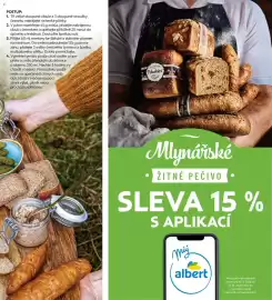 Albert leták Strana 47