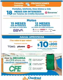 Folleto Chedraui Página 17