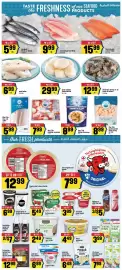 Marché Adonis flyer week 40 Page 4