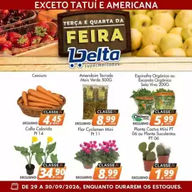Catálogo Delta Supermercados Página 3