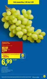 Lidl gazetka Strona 15: Winogrona jasne bezpestkowe luzem €6,99
