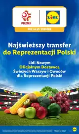 Lidl gazetka Strona 3