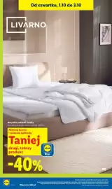 Lidl gazetka Strona 42