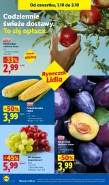 Lidl gazetka Strona 48: Mix winogron bezpestkowych Ryneczek Lidla €5,99, Jabłka czerwone polskie luzem Ryneczek Lidla €2,99