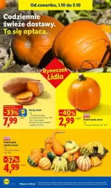 Lidl gazetka Strona 50: Polskie dynie ozdobne luzem €4,99, Polskie dynie luzem €2,99