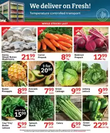 Oxford Freshmarket catalogue Page 4: Carrot Prepack €8,99, Denny Sliced/ Button Mushrooms €21,99