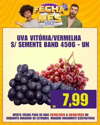 Violeta (válido até 30-09)
