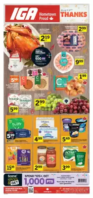 IGA flyer (valid until 7-10)