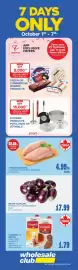 Wholesale Club flyer week 40 Page 3
