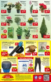 Zimmermann Prospekt woche 41 Seite 16: Vogelfutterhaus Kiefer €5,99, Regentonnenetz €1,99
