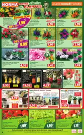 Catalogue Norma semaine 41 page 4: Petite coupe de fleurs pour la Toussaint €7,99, Composition florale ronde €12,99