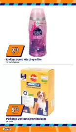 Action Prospekt woche 40 Seite 4: Pedigree Dentastix Hundesnacks €5,49, Endless Scent Wäscheparfüm €2,48