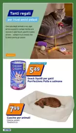 Volantino Action settimana 40 Pagina 35: Cuscino per animali €7,99