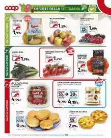 Volantino Coop | Extra Pagina 4: Mix di frutta secca La Dispensa Preziosa Rubino €4,59, Mela Fuji Melapiù €1,59
