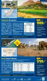 Lidl Reisen Prospekt Seite 23: Südafrika Rundreise €1.999,00, Kenia Safari & Baden €1.799,00