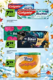 Groszek gazetka | Sprawdz co wiecej Strona 7: Chusteczki Higieniczne Velvet Foxy Cartapaglia €5,99, Velvet Excellence €6,99