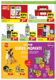 Nah&Frisch Flugblatt woche 41 Seite 4: Jeka Grablicht €2,49, Durgol Universal Schnellentkalker €3,99