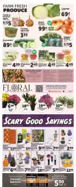 Food City weekly ad week 40 Page 5: Fall or Halloween Chibi Highland Cows Plush €7,99, Dog or Black Cat Candle Decor €16,99
