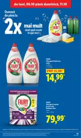 Catalog Lidl săptămâna 41 Pagină 29: Fairy detergent lichid vase rodie €14,99