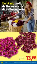 Catalog Lidl săptămâna 41 Pagină 66