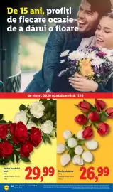 Catalog Lidl săptămâna 41 Pagină 68: Buchet trandafiri maxi €29,99, Buchet de lalale €26,99