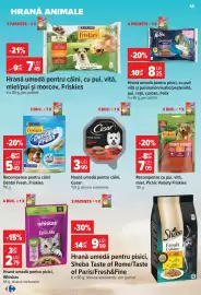 Catalog Carrefour Pagină 14