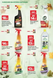 Catalog Carrefour Pagină 18: Heitmann decalcificator bio €13,99, Triumf soluție pentru curățat cuptoare €14,69