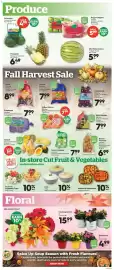 Calgary Co-op flyer week 40 Page 6: Marinated Vegetables Assorted varieties, Dips assorted varieties