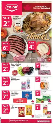 Co-op (valid until 7-10)