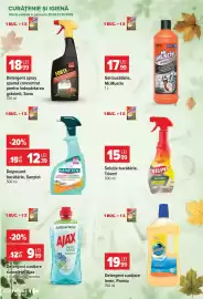 Catalog Carrefour Market Pagină 48: Sanytol degresant bucătărie €12,39, Triumf soluție bucătărie €15,99