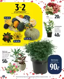 Føtex tilbudsavis uge 40 Side 73