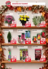 Catalog Auchan Pagină 44