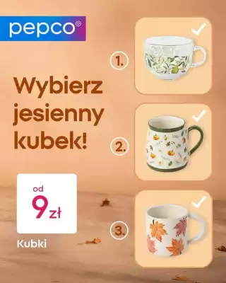 Pepco gazetka (ważność do 14-10)