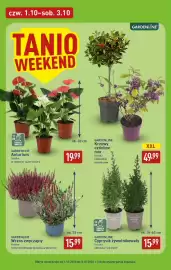 ALDI gazetka Strona 6: Krzew Gardenline €49,99