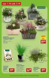 ALDI gazetka Strona 7: Kompozycja roślinna Gardenline €59,99