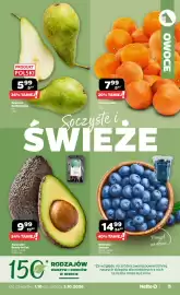 Netto gazetka Strona 5: Borówka Sekoya €14,99, Gruszka Konferencja €5,99