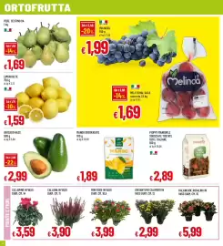 Volantino Famila Superstore Pagina 4: Avocado Hass €2,99, Limoni rete €1,59