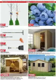 Merkury Market gazetka Strona 67: Drzewka owocowe morela, śliwa €27,99, DOMEK OGRODOWY €7.999,00