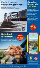 Lidl Reisen Prospekt Seite 11